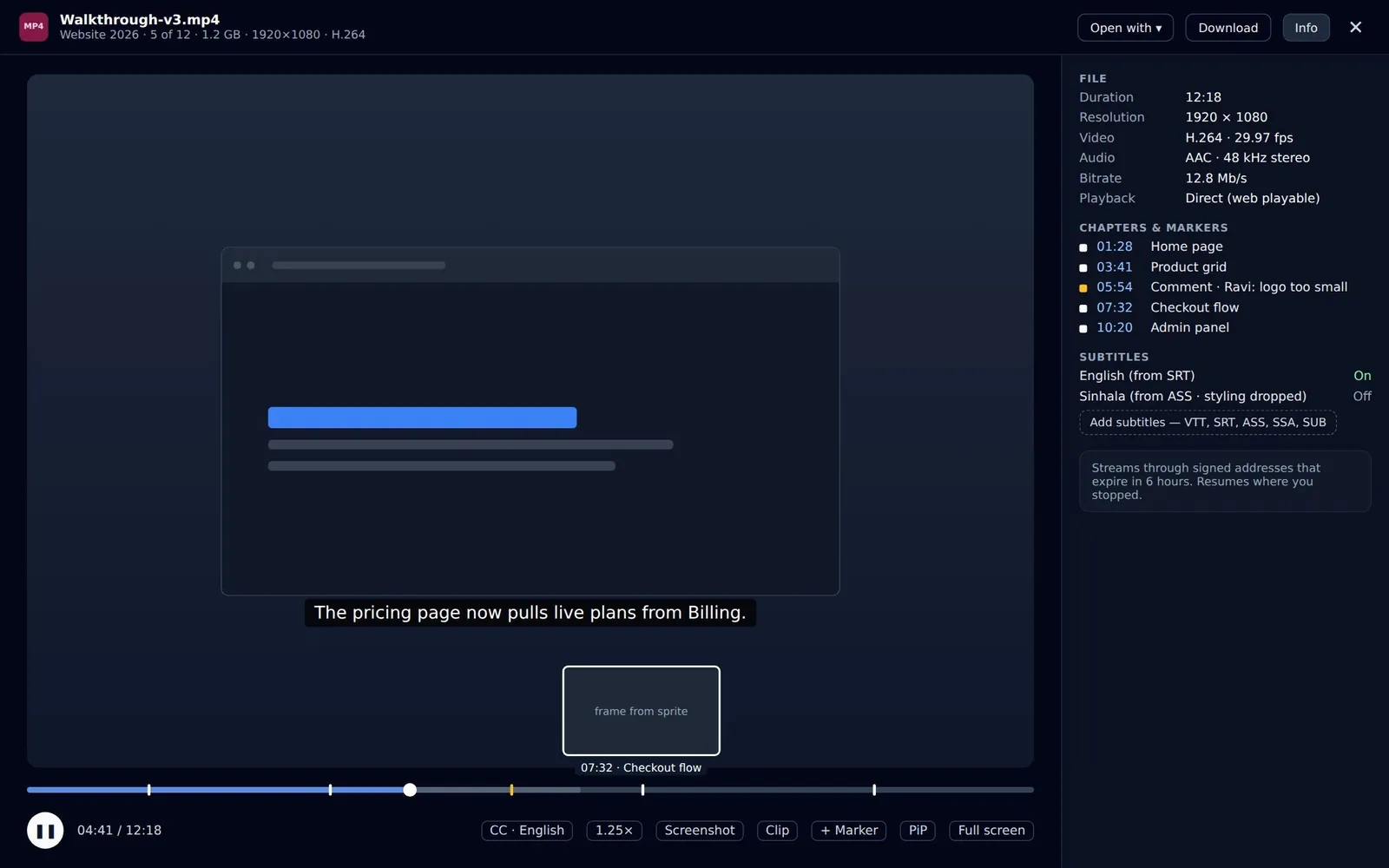 The full-screen viewer playing a video with the info panel open